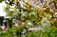 DSCF2435_R