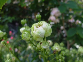 DSCF9870
