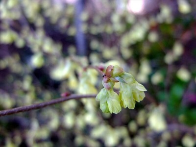 DSCF4732_R