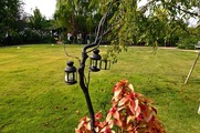 DSCF6878_R