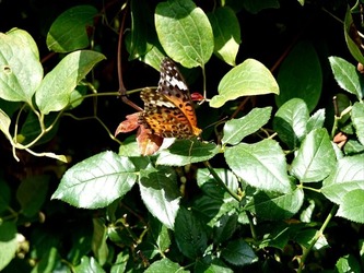 DSC01267_R