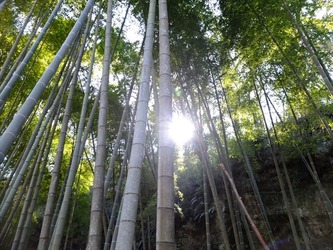 DSCF8388_R