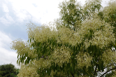 DSC08830_R