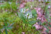 DSCF2222_R
