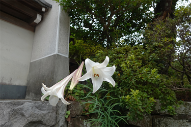 DSC09081_R