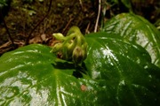 DSCF2711_R