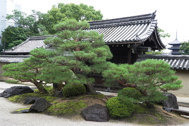 DSC09699_R