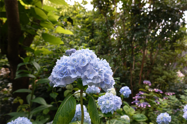 DSC01530_R