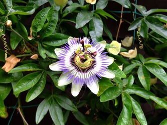 DSCF0420_R