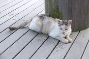 DSCF4174_R