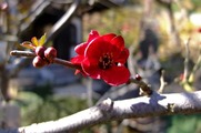 DSCF0738_R