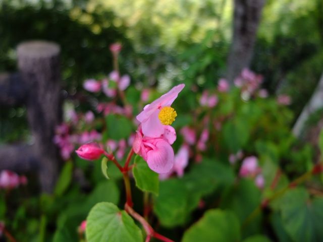 DSCF3807_R