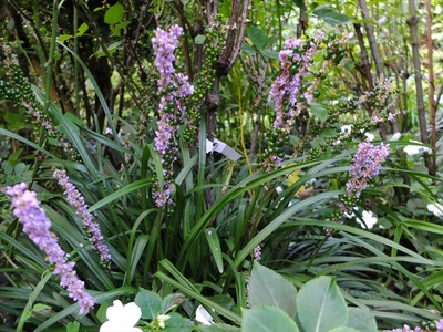 DSCF5449_R