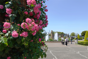 DSC07248_R