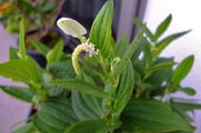 DSCF3470_R