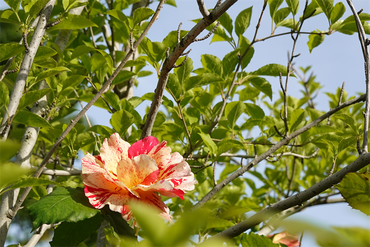 DSC07172_R