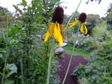 DSCF2861_R
