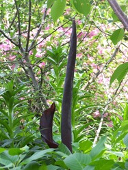 DSCF9651_R