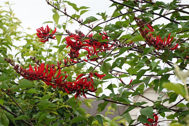 DSC08383_R
