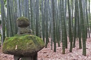 DSCF2197_R