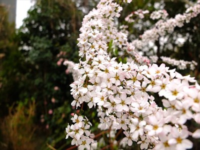 DSCF1372_R
