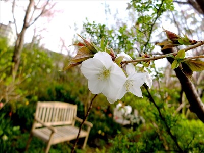 DSCF1845_R