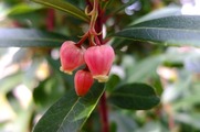 DSCF2415_R