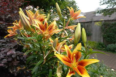 DSC08435_R