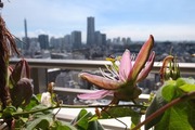 DSCF5817_R