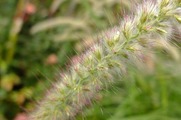 DSCF5853_R