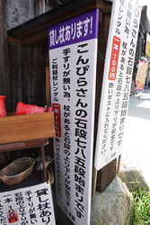 DSC09511_R