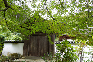 DSC03606_R
