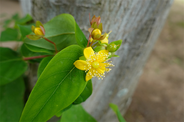 DSC08081_R