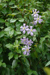 DSC08843_R