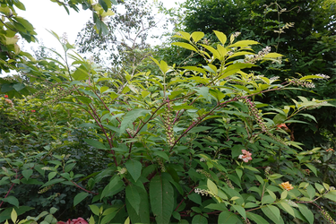 DSC08926_R