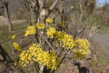DSC05854_R