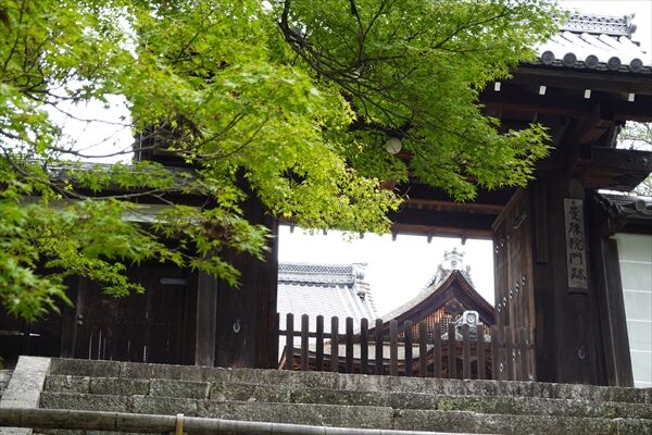 DSC02066_R