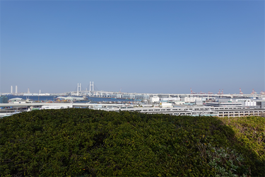 DSC00581_R