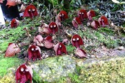 DSCF4254_R