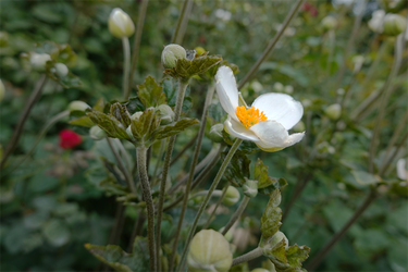DSC09320_R