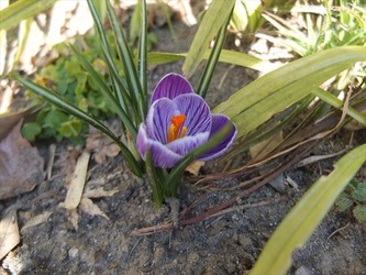 DSCF8340_R
