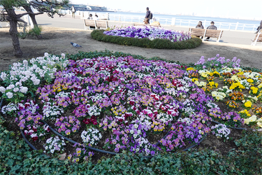 DSC00592_R