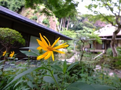 DSCF5309_R
