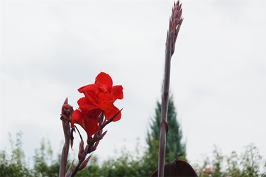 DSC09325_R