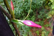 DSCF5834_R