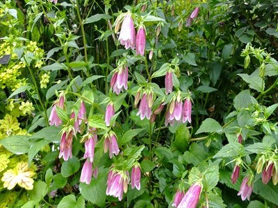 DSCF7332_R