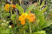 DSCF4841_R
