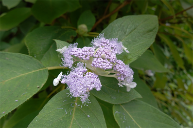 DSC09161_R
