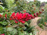 DSCF2537_R