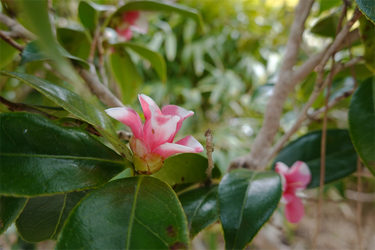 DSC05705_R